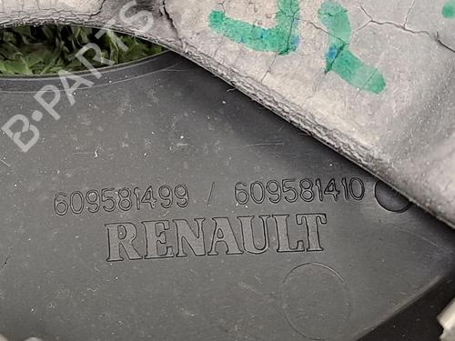 Used Steering wheel RENAULT SCÉNIC III (JZ0/1_) 1.2 TCe (JZ16) (132 hp) 29948073