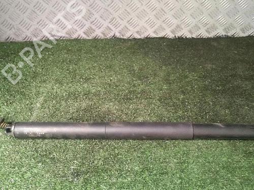 tailgate-lift-support-bmw-x2-f39-2017-2018-2019-2020-2021-2022-2023-29952841 main image