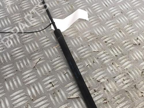 Used Tailgate lift support SEAT ALTEA (5P1) 1.9 TDI (105 hp) 30072543