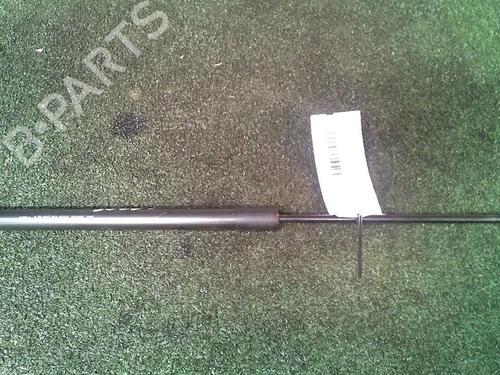 Tailgate lift support CITROËN C3 Picasso (SH_) 1.6 HDi | BP30073623C138 