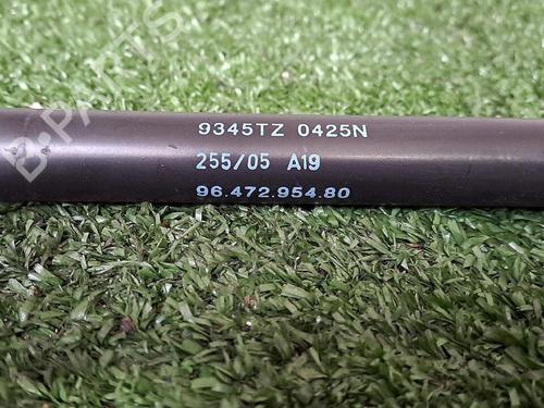 Tailgate lift support CITROËN C4 I (LC_) 1.6 HDi | BP30077055C138 