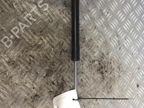 tailgate-lift-support-ds-ds-3-sa_-2015-2016-2017-2018-2019-30072512 main image