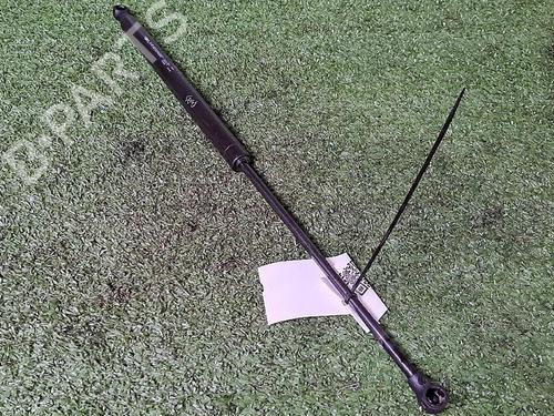 Used Tailgate lift support PEUGEOT 206+ (2L_, 2M_) 1.4 HDi eco 70 (68 hp) 30076667