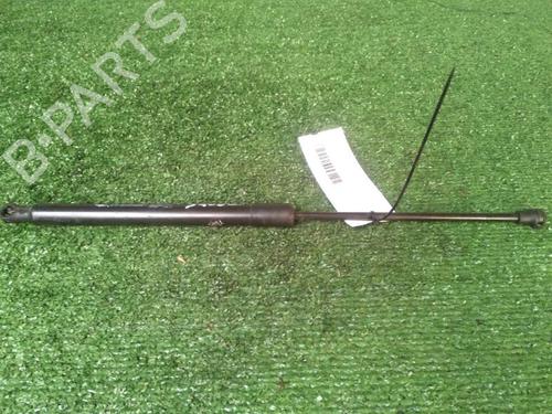 tailgate-lift-support-citroen-c3-ii-sc_-2009-29951665 main image