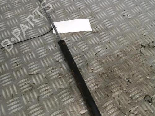 Ammortizzatore portellone posteriore Ammortizzatore portellone posteriore RENAULT LAGUNA II (BG0/1_) 1.9 dCi (BG08, BG0G) (120 hp) 30072532 30072532