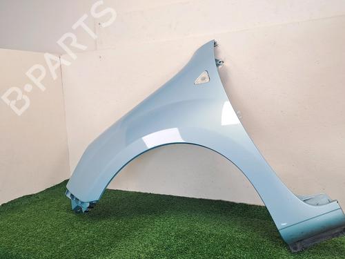 Left front fenders RENAULT KANGOO / GRAND KANGOO II (KW0/1_) 1.5 dCi 85 (KW0K, KW0L, KW0B) | BP29047211C41 