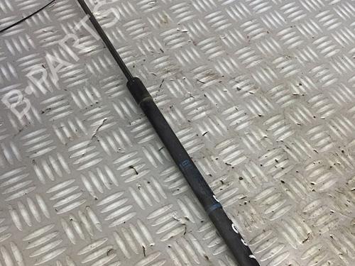 Used Tailgate lift support OPEL CORSA D (S07) 1.3 CDTI (L08, L68) (75 hp) 30072483