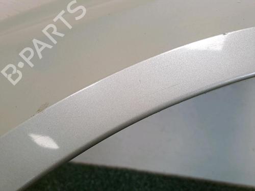 Left front fenders RENAULT LAGUNA II (BG0/1_) 1.9 dCi (BG08, BG0G) | BP25859167C41 