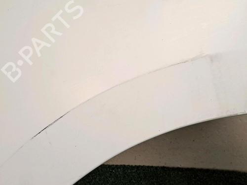 Used Left front fenders RENAULT KANGOO Express (FW0/1_) [2008-2025]  30068093