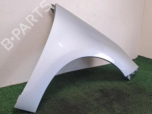 Right front fenders RENAULT SCÉNIC III (JZ0/1_) 1.5 dCi | BP29948761C42 
