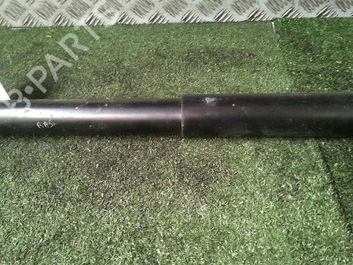 Used Right rear shock absorber PEUGEOT BIPPER (AA_) 1.3 HDi 75 (75 hp) 30073002