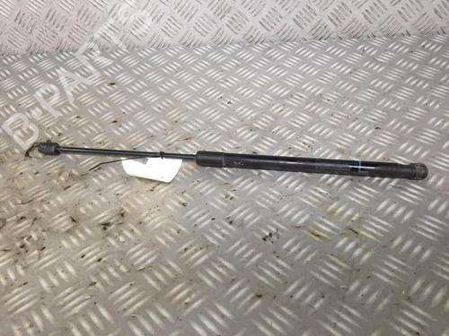 tailgate-lift-support-suzuki-swift-iv-fz-nz-2010-30072641 main image