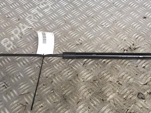 Tailgate lift support CITROËN C3 Picasso (SH_) 1.6 HDi 110 | BP29951248C138