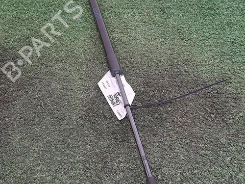 Used Tailgate lift support RENAULT CLIO V (B7_) 1.0 LPG (B7MT) (101 hp) 29949152