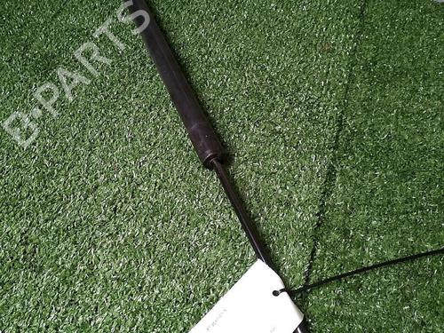 Gassdemper Bakluke RENAULT SCÉNIC III (JZ0/1_) 1.5 dCi (JZ02, JZ0R) (95 hp) 29951340