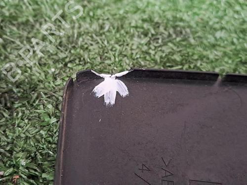 Left mirror glass CITROËN BERLINGO MULTISPACE (B9) 1.6 HDi 75 16V | BP29953132C148