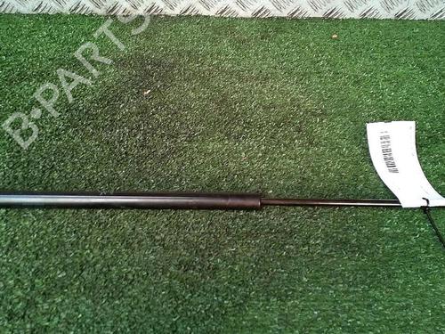 Used Tailgate lift support PEUGEOT 107 (PM_, PN_) 1.4 HDi (54 hp) 30074151