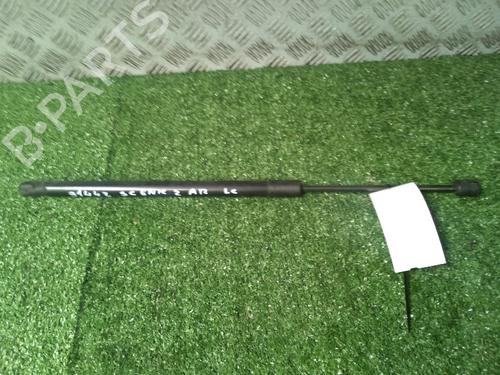 Tailgate lift support RENAULT SCÉNIC II (JM0/1_) 1.9 dCi (JM0G, JM12, JM1G, JM2C) | BP17162988C138 