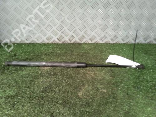 Used Tailgate lift support RENAULT SCÉNIC III (JZ0/1_) 1.9 dCi (JZ0J, JZ1J, JZ1K, JZ1S) (131 hp) 17976190