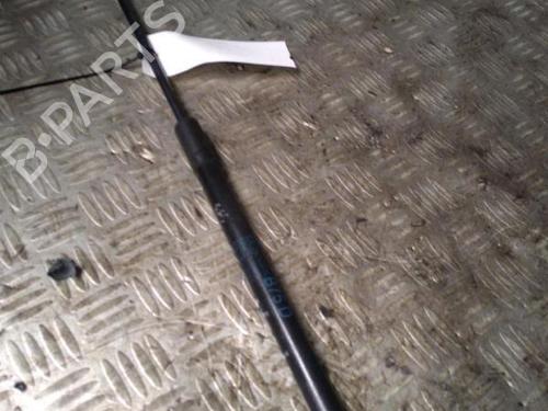 tailgate-lift-support-ds-ds-4-ds-4-crossback-nx_-2015-2016-2017-2018-29951328 main image