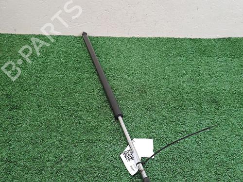 Tailgate lift support CITROËN JUMPY II (VF7)  | BP30068287C138 