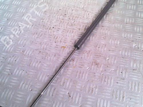 Tailgate lift support RENAULT KANGOO (KC0/1_) 1.5 dCi | BP30074836C138 