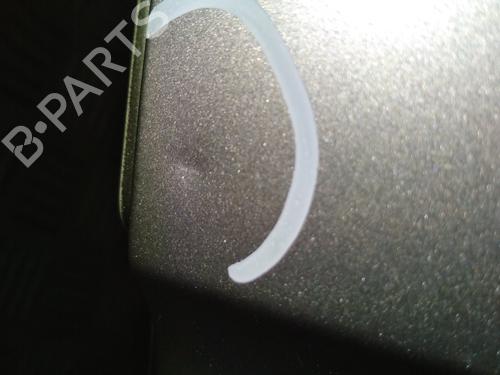 Drzwi przednie lewe BMW X5 (E53) 3.0 d | BP29950659C2