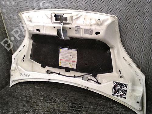 Hood PEUGEOT BIPPER (AA_) 1.4 HDi | BP30064862C1 