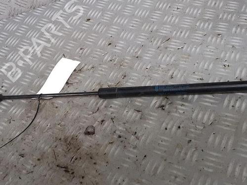 Used Tailgate lift support FORD FIESTA VI (CB1, CCN) 1.25 (60 hp) 30072631