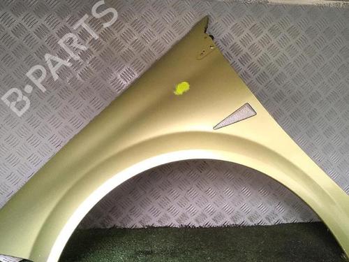 Left front fenders RENAULT MEGANE II (BM0/1_, CM0/1_) 1.6 16V (BM0C, CM0C) | BP29952948C41