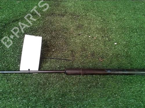 Used Tailgate lift support DACIA SANDERO 1.2 16V (75 hp) 30073793