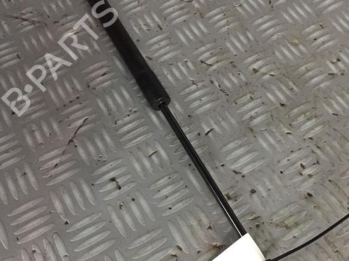 Gasdæmper bagklap CITROËN C3 II (SC_) 1.4 VTi 95 (95 hp) 30072471