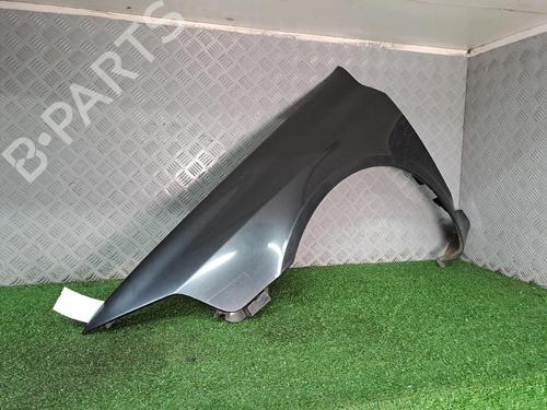 Left front fenders RENAULT LAGUNA II (BG0/1_) 1.9 dCi (BG08, BG0G) | BP21127063C41 