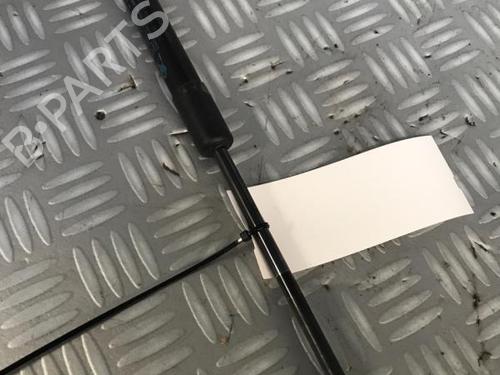 Tailgate lift support PEUGEOT 407 Coupe (6C_) 2.0 HDi | BP30074481C138 