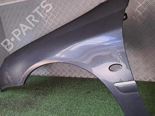 Left front fenders PEUGEOT 607 (9D, 9U) 2.7 HDi 24V | BP30076783C41 