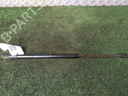 Used Tailgate lift support RENAULT SCÉNIC II (JM0/1_) 1.5 dCi (JM0F) (82 hp) 18206744