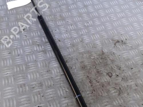 Tailgate lift support FIAT DOBLO MPV (119_, 223_) 1.3 JTD 16V | BP30072620C138