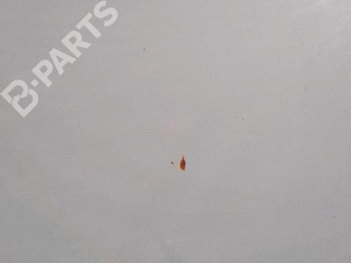 Hood VW TRANSPORTER T4 Van (70A, 70H, 7DA, 7DH) 2.4 D | BP11408674C1 