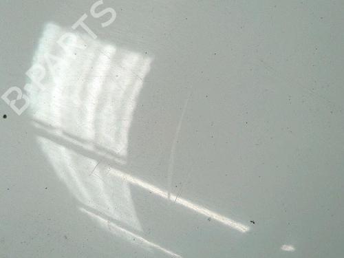 Forkjerm venstre RENAULT CLIO II (BB_, CB_) 1.5 dCi (B/CB3M) | BP29952873C41