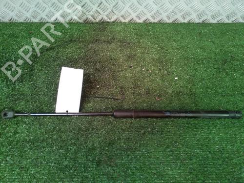 Tailgate lift support DACIA SANDERO 1.2 16V | BP30073793C138 