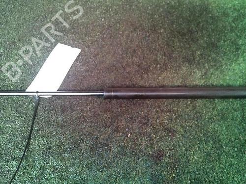 Tailgate lift support PEUGEOT 206 Hatchback (2A/C) 1.6 16V | BP30073748C138 