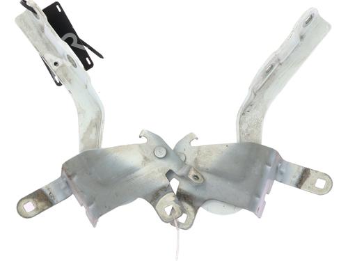 Used Hinge/Door check strap RENAULT CLIO IV (BH_) 1.5 dCi 75 (75 hp) 31318790