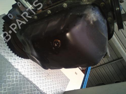 Engine RENAULT TWINGO II (CN0_)  | BP28332176M1 