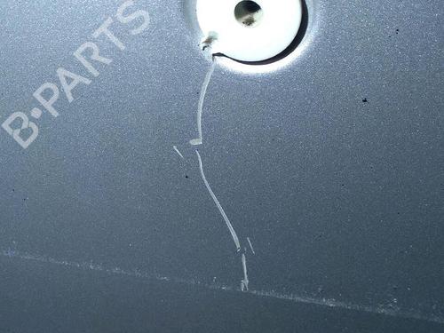 Tailgate MINI MINI (R50, R53) Cooper | BP29952986C6