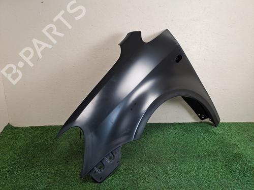 Left front fenders VW CADDY III Box Body/MPV (2KA, 2KH, 2CA, 2CH) 2.0 SDI | BP30965536C41