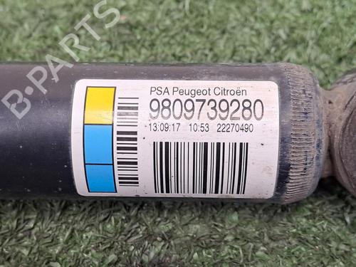 Used Left rear shock absorber CITROËN C4 CACTUS 1.2 VTi 82 (82 hp) 30067934