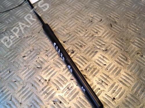 tailgate-lift-support-citroen-c3-picasso-sh_-2008-29951324 main image