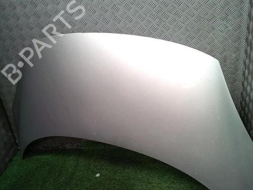 Panser Panser RENAULT GRAND SCÉNIC III (JZ0/1_) 1.9 dCi (JZ0J, JZ0N, JZ1K, JZ1S) (131 hp) 30076412 30076412