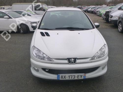 Left rear door PEUGEOT 206 Hatchback (2A/C) 1.4 HDi eco 70 | BP17749923C4 