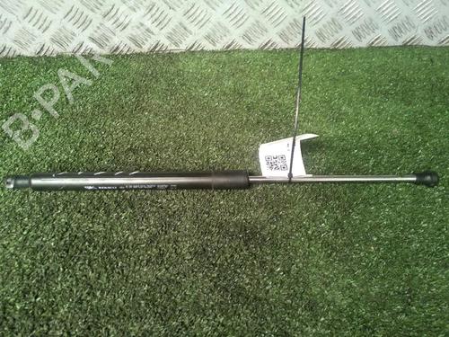 Used Tailgate lift support RENAULT CLIO III (BR0/1, CR0/1) 1.5 dCi (BR17, CR17) (86 hp) 18076901